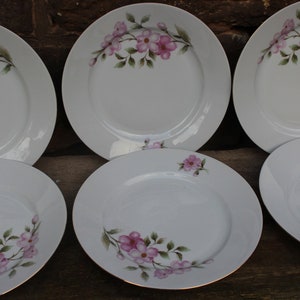 6 middagstallrikar Thun Tjeckoslovakien Angelika Vintage