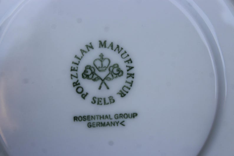 Rosenthal Monbijou Green Ranke / Coffee Cup With Saucer / 90s West