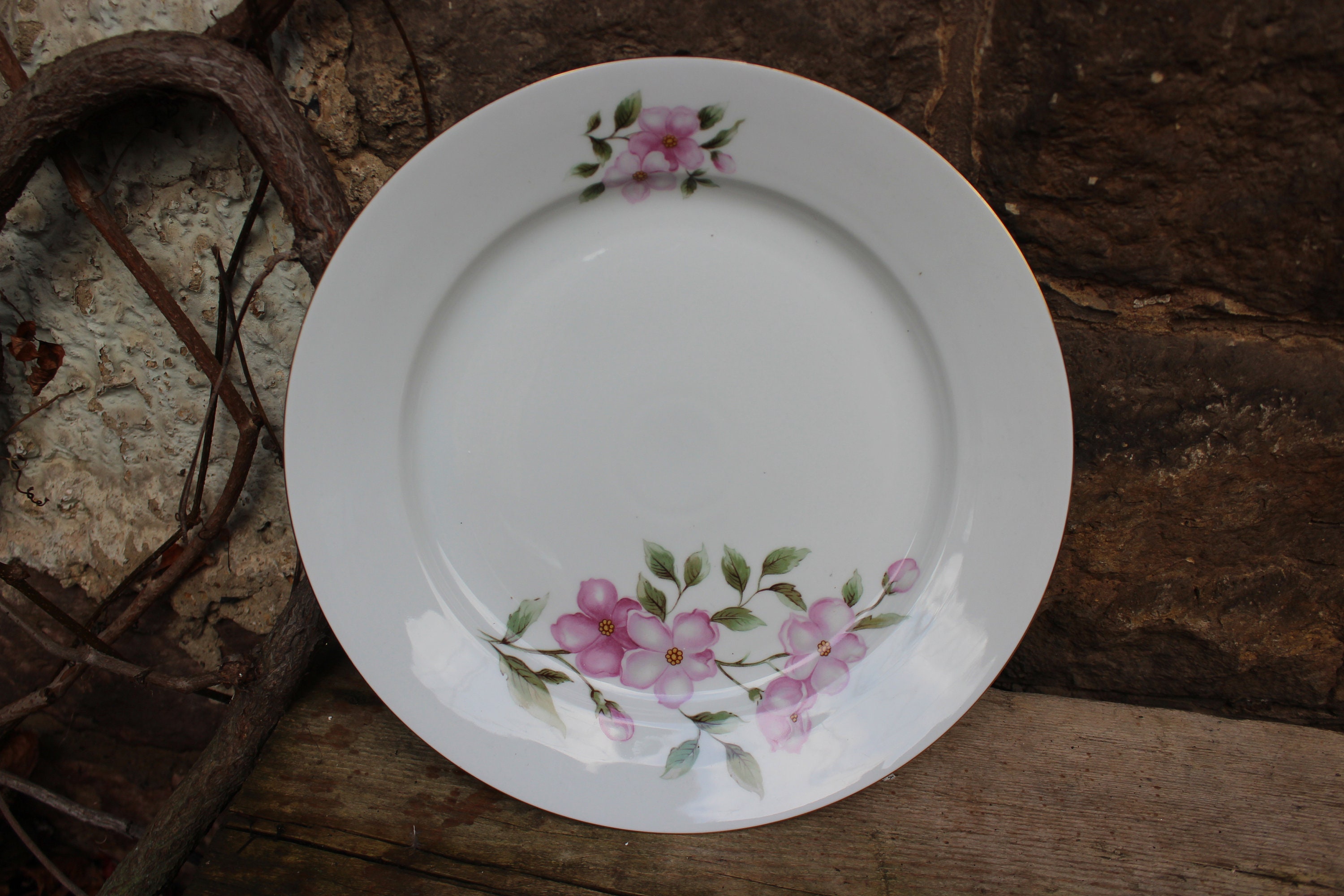 THUN CZECHOSLOVAKIA SET piatti porcellana Bohême FIORI BORDO DORATO ANNI 70  EUR 150,00 - PicClick IT