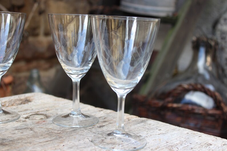 5 wine glasses etched glass 50s GDR GDR