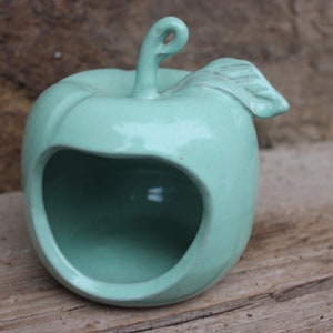 Può includere: Un piatto di ceramica a forma di mela di colore verde chiaro con un foro sul lato. La mela ha uno stelo e una foglia.