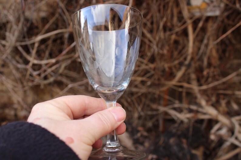 5 wine glasses etched glass 50s GDR GDR