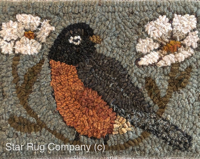 Star Rug Company ~ Spring Robin Primitive Rug Hooking Pattern - Etsy