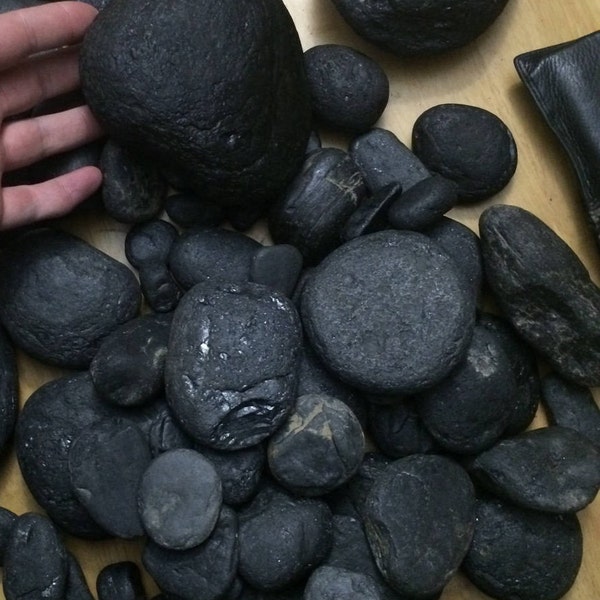 Southern Kentucky Natural Collected Anthracite (Coal)