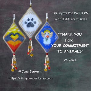 Può includere: Tre ornamenti a forma di diamante con perline con diversi disegni, tra cui un'impronta di zampa e un cuore. Ognuno ha un nappa di perline. Il testo dice "GRAZIE PER IL VOSTRO IMPEGNO PER GLI ANIMALI".