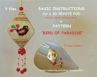 BASIC INSTRUCTIONS + PATTERN for a 3D Peyote Pod &#39;Bird of Paradise&#39; / pdf English / with many Graphics + Word Chart