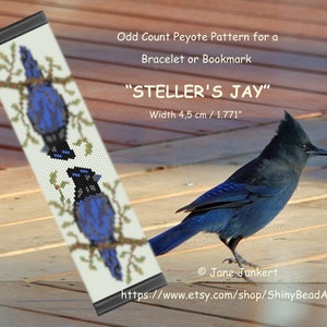 May include: A beading pattern for a Steller's Jay, a blue bird with a black head and crest. The pattern is for a bracelet or bookmark and measures 4.5 cm wide. The pattern is called "Steller's Jay" and is by Jane Junkert.