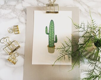 Cactus illustration