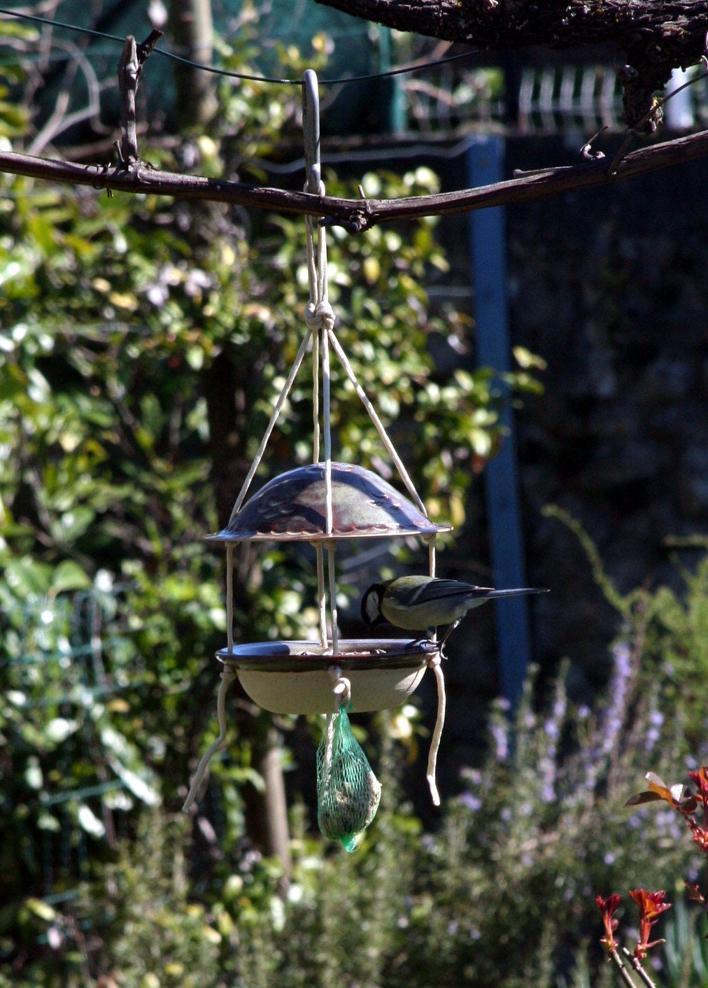 Mangeoire en Grès Pour Oiseaux Sauvages