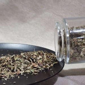 Blackberry Leaves Magical Medicinal Herb