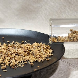Elder Flowers, Magical Medicinal Herb