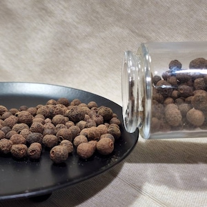 Allspice Magical Medicinal Herb