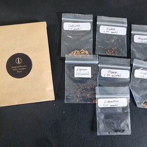 Magical Flowers Witch Garden Seed Collection