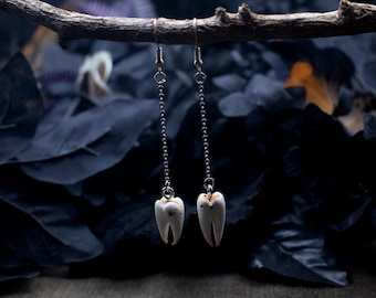 Puede incluir: Un par de pendientes únicos con dientes reales suspendidos de cadenas plateadas. Los dientes son blanquecinos con imperfecciones naturales, colgando de delicados ganchos. El fondo es oscuro con follaje borroso, creando una estética gótica.