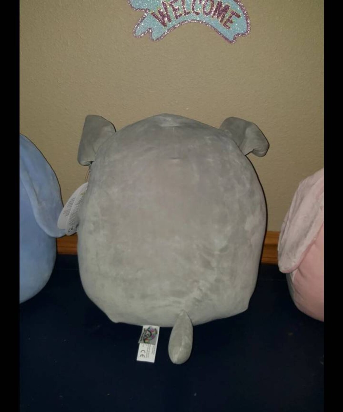 dog squishmallow names