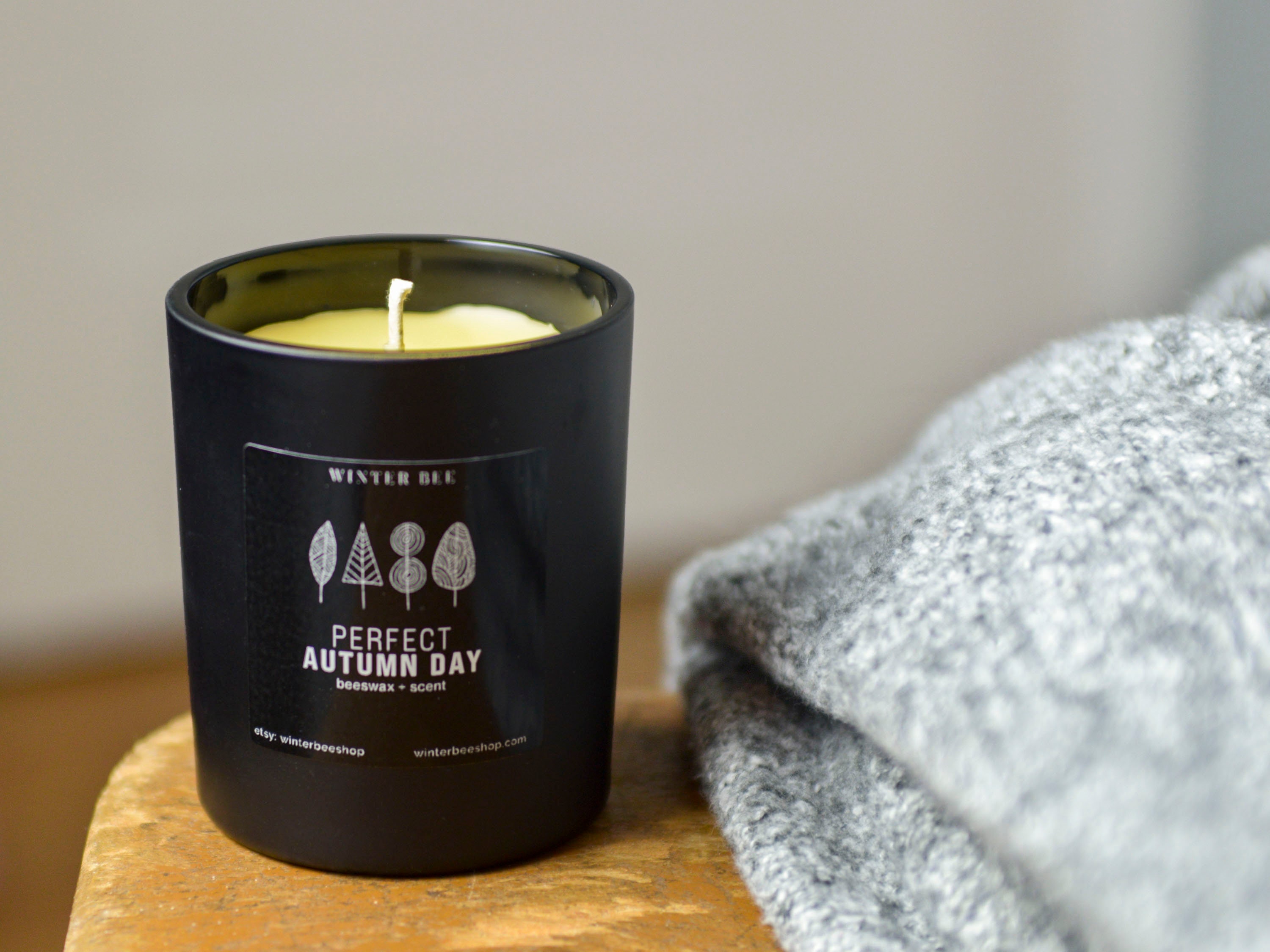 Perfect Autumn Day Scented Beeswax Candles in Frosted Black Glass, Fall