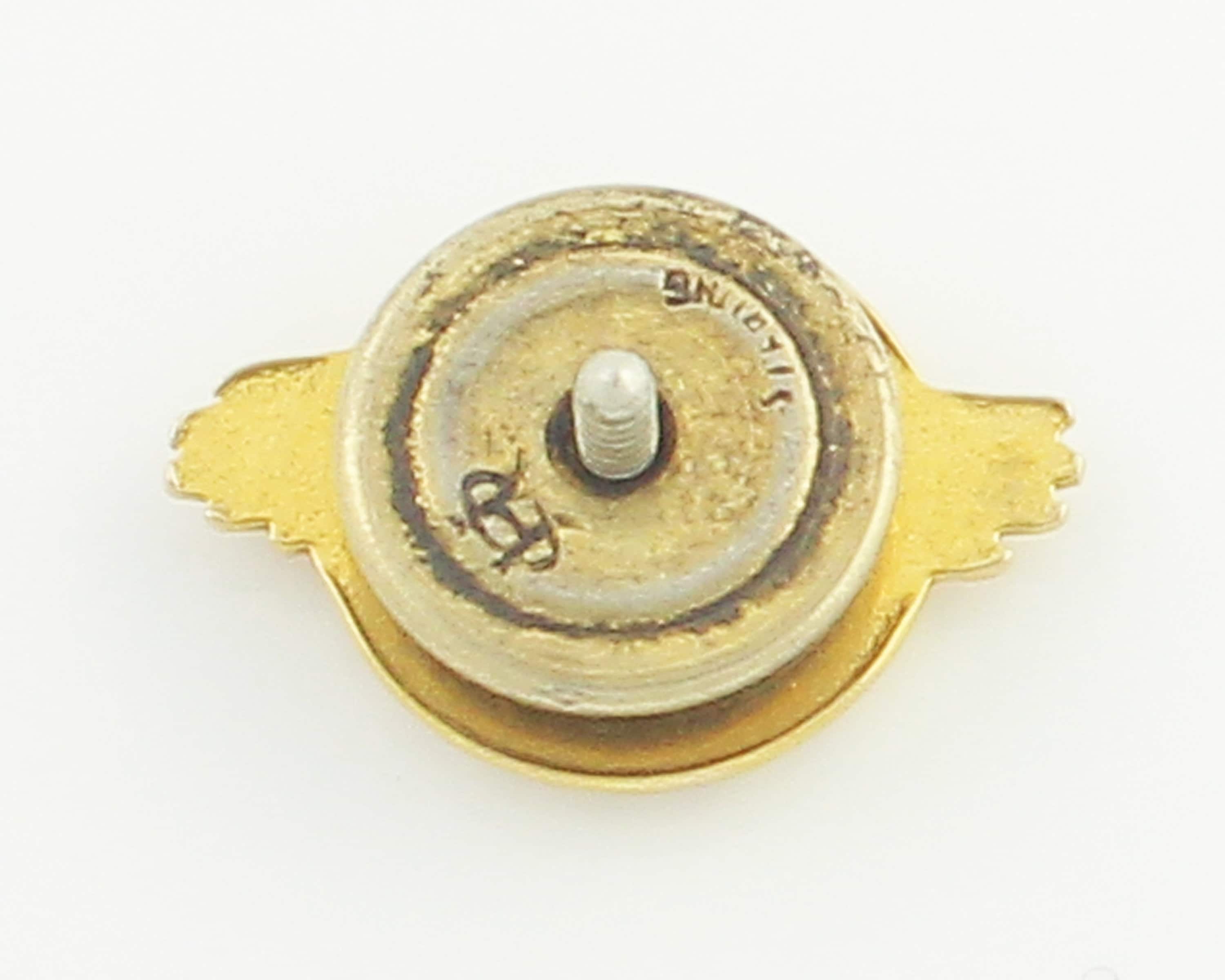 ピンバッジ WWII US HONORABLE DISCHARGE RUPTURED DUCK LAPEL PIN, gold 