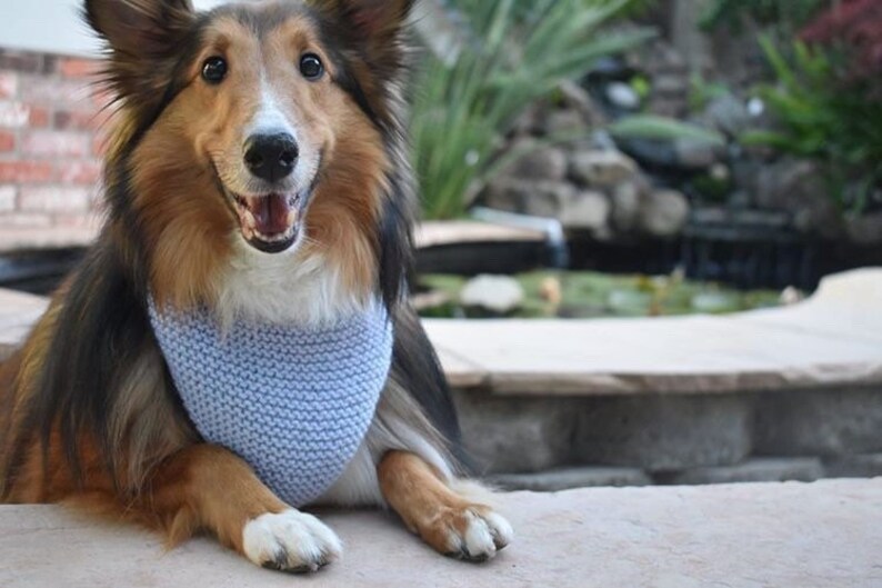Cotton Candy Bandana