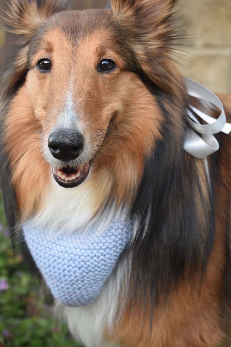 Cotton Candy Bandana