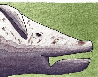 ACEO. Original artwork trading card. 'Porky'