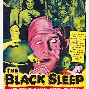 The Black Sleep (1956) Basil Rathbone Cult Horror movie poster reprint 24x36 inches