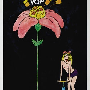 Monterey Pop festival (1968) kultiges Filmplakat Nachdruck 18x12 Zoll ca.