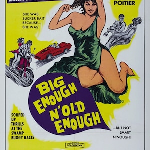 Savages from Hell (1968) Cyril Poitier cult Bikers movie poster reprint 24x36 inches
