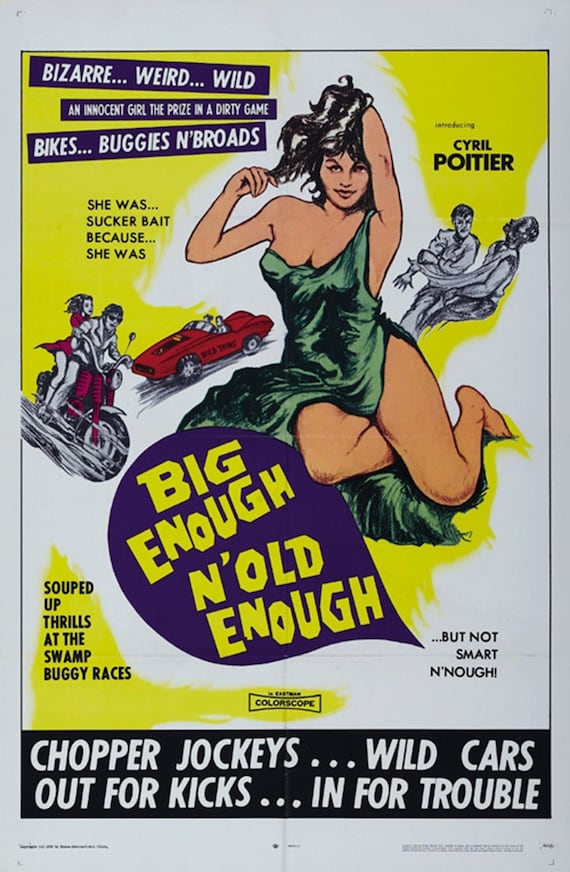 Savages from Hell Cyril Poitier cult Bikers movie poster 24x36 inches 1968