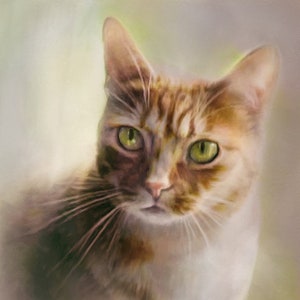 Commissioned Portrait Painting Photorealism Style Pet Portrait Painting image 1