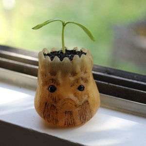May include: A small, whimsical planter shaped like a cartoon character's face, with a sprout growing from the top. The planter is light brown with black eyes and a smiling face. The plant has two green leaves. The planter sits on a white windowsill.