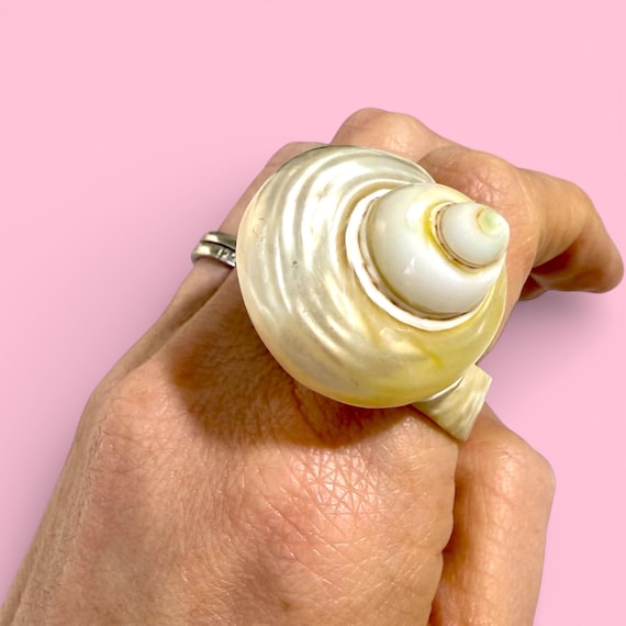 Vintage Natural Shell Statement Ring | 1970s Coas… - image 3