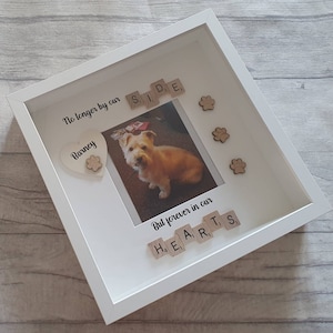 May include: White shadow box with a photo of a dog, a heart with the name "Barney" and the words "No longer by our side, but forever in our hearts" spelled out with wooden letter tiles.