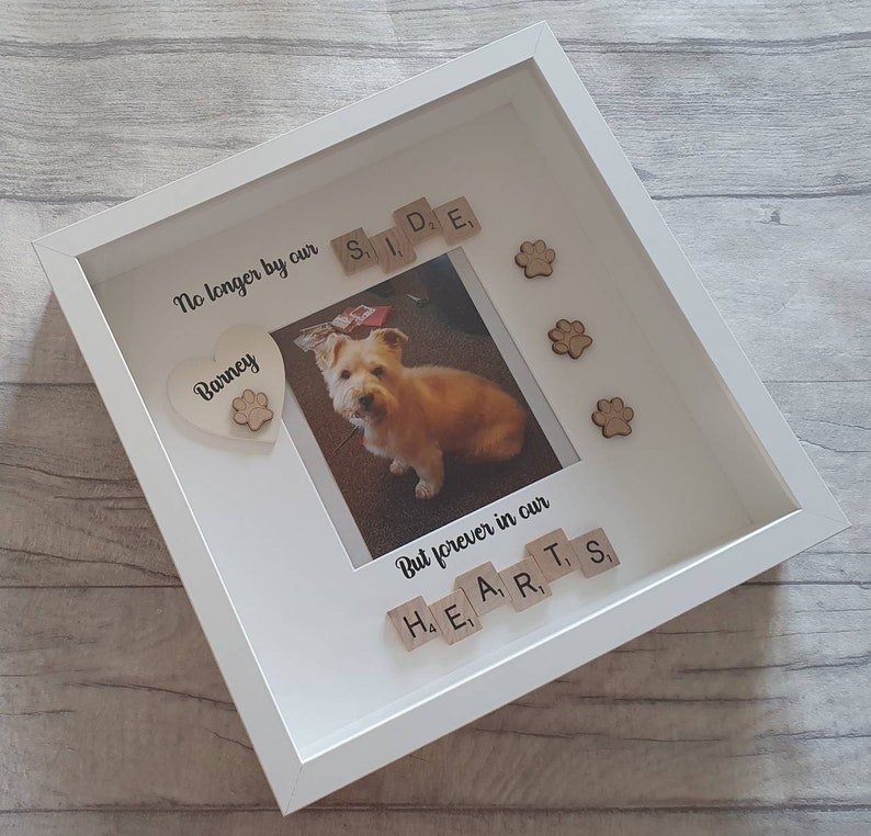 May include: White shadow box with a photo of a dog, a heart with the name "Barney" and the words "No longer by our side, but forever in our hearts" spelled out with wooden letter tiles.