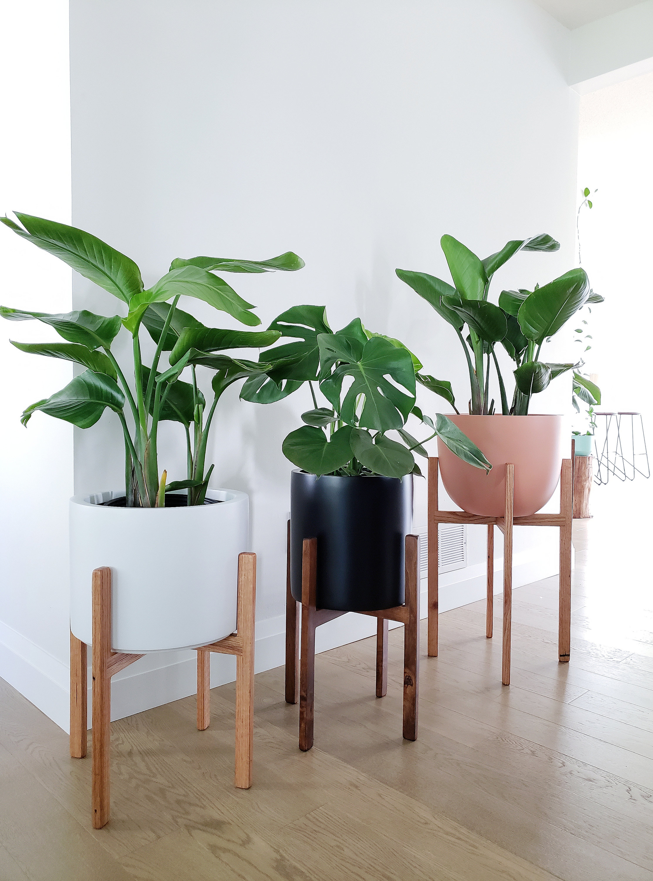 Acacia Plant Stand Kmart