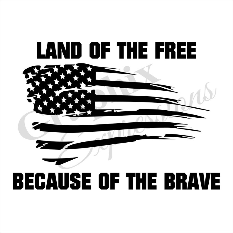 Land of the Free Decal