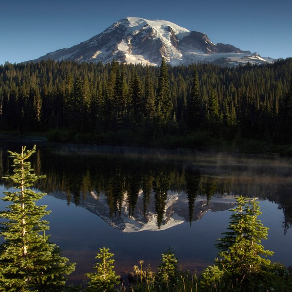 Lake Reflections Etsy