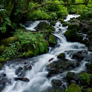 cascade, waterfall, Oregon, waterfall cascades, spring, waterfalls, Oregon print, waterfall print, Oregon photograph, waterfall photo,