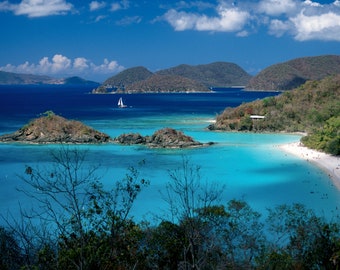 May include: A scenic view of a tropical island with a white sand beach, turquoise water, and lush green vegetation. A sailboat is visible in the distance.