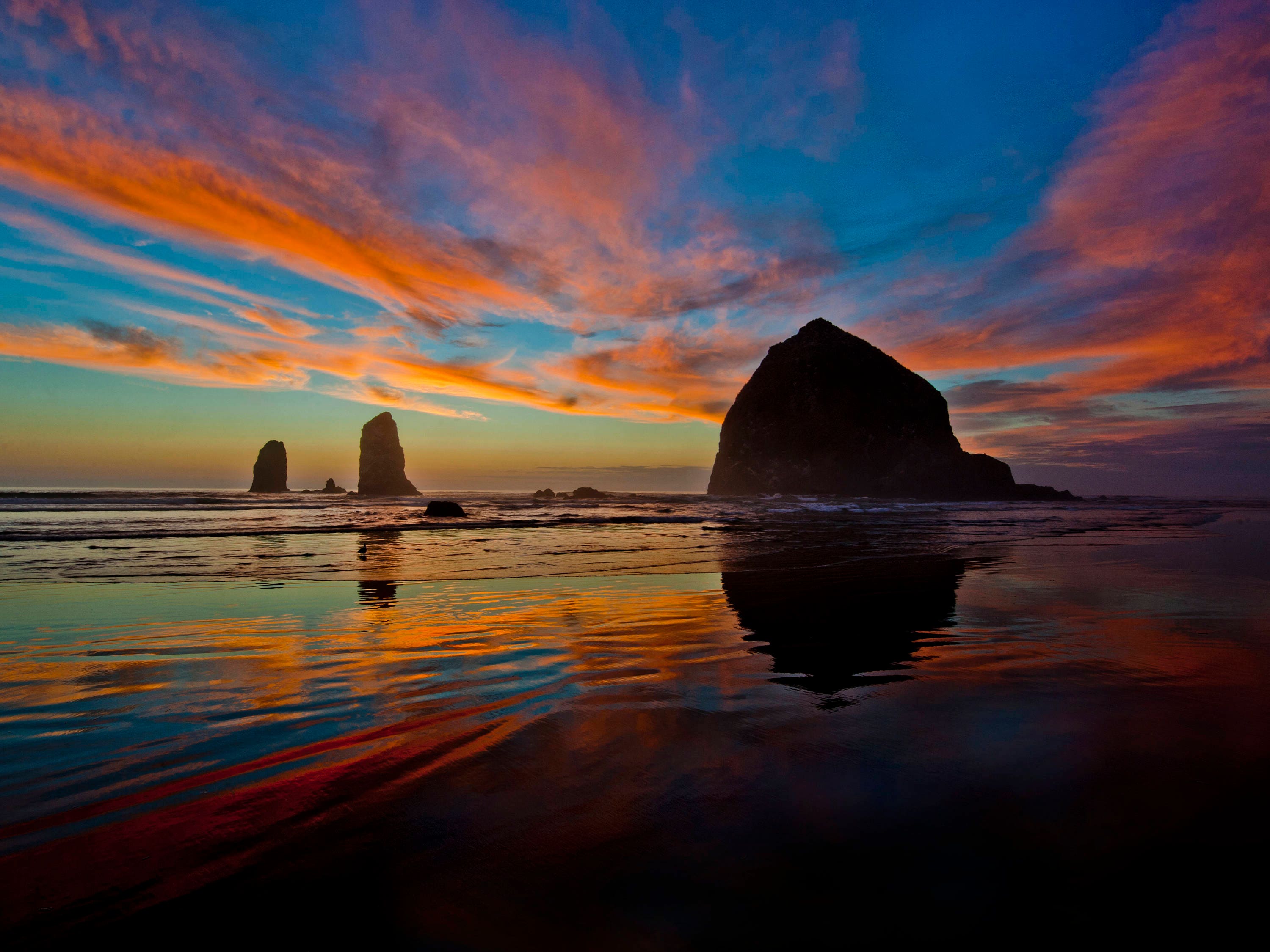 Cannon Beach & Haystack Rock: Private Oregon Coast Tours - 453dd4w