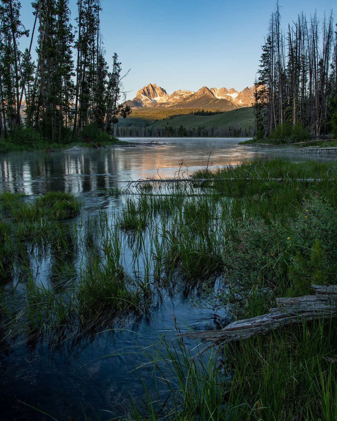 Sunset Pinecrest Lake Stock