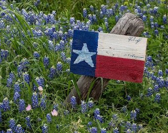 Bluebonnet, Texas Hill Country,  Texas, bluebonnets, Texas art, hill country, Texas wall decor, Texas flowers, Texas print, bluebonnet print