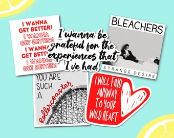 Bleachers Jack Antonoff Strange Desire Album Inspired Waterproof Weatherproof Vinyl Stickers