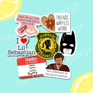 Parks TV Show, Leslie, Ron, Andy, April, Treat Yo Self, Lil Sebastian, Jerry, Pawnee waterdichte vinylstickers
