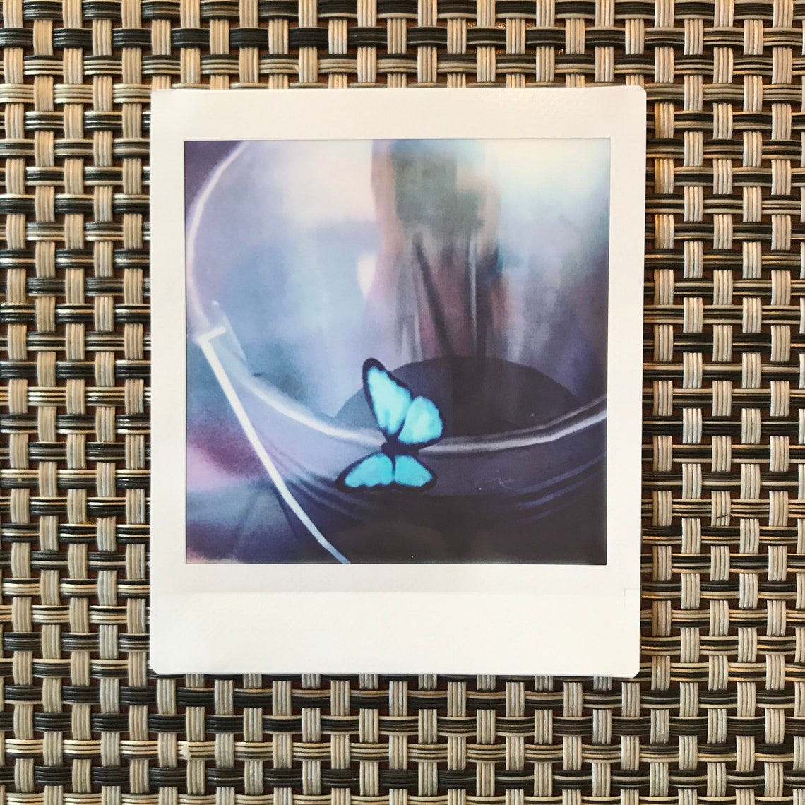 Life is Strange Prop Max & Blue Butterfly Art Instant Photo Etsy