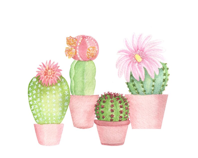 Download Watercolor cactus clip art Succulent clipart Botanical ...
