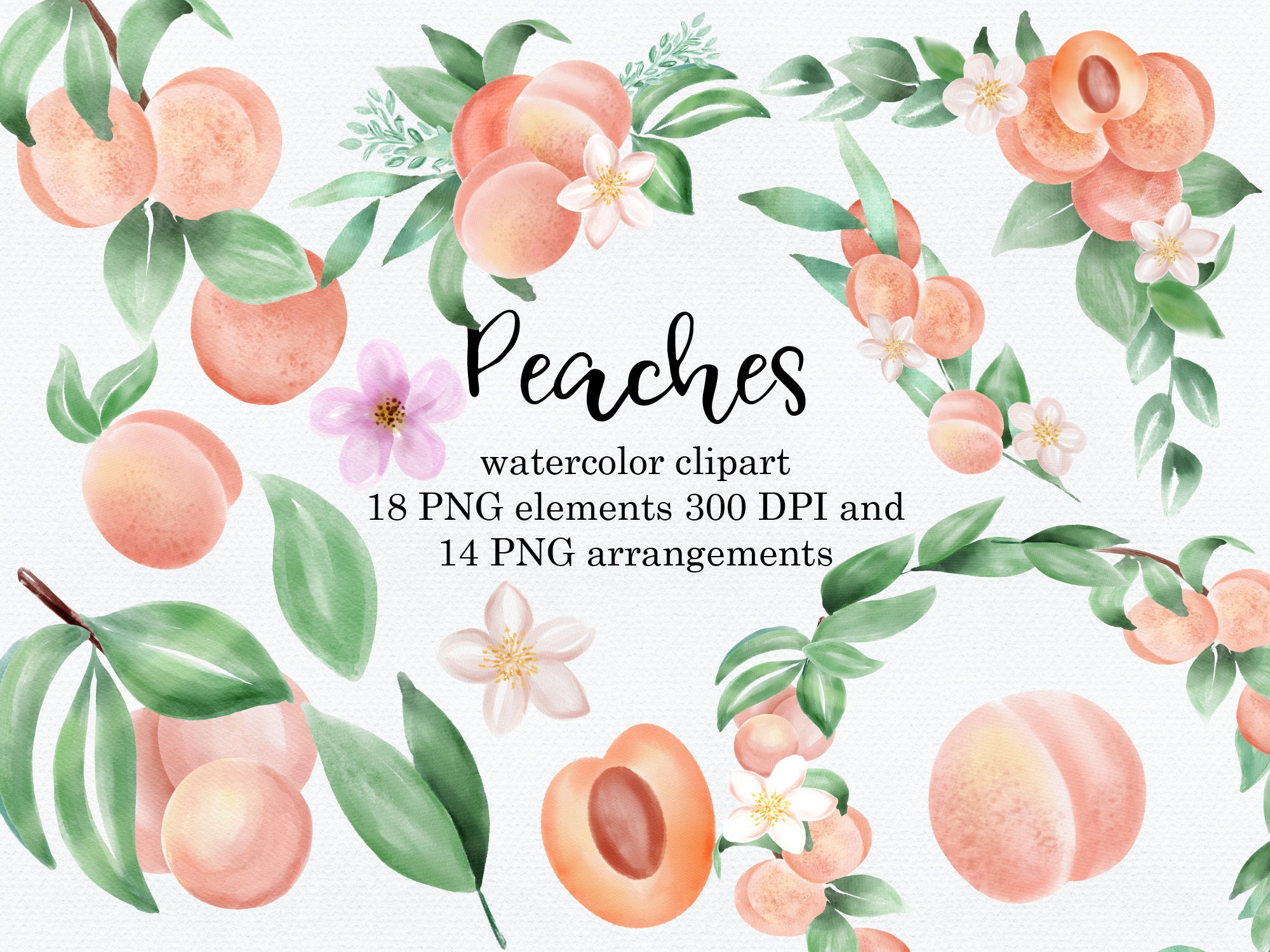 Peaches Watercolor Clipart Gold glitter frames with greenery | Etsy