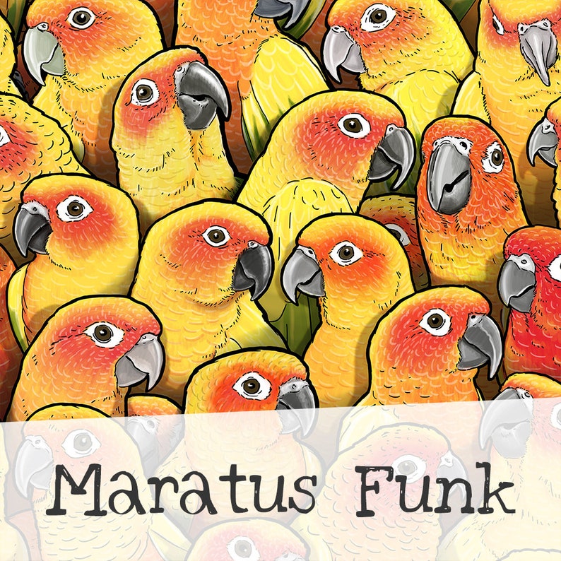 Sun Conure Leggings Bird Conures Parrot Birb Print Comfy Pants Yoga Soft Fitness Skinny Gym Stretch Running Sport
