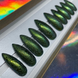 Prensa de escamas de lagarto en las uñas