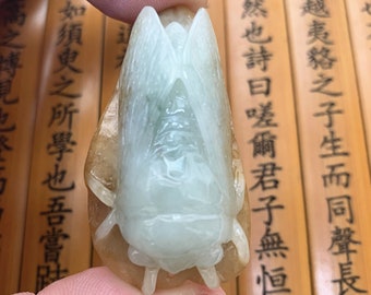 AAA Genuine Real  Natural ice Transparent Authentic jade cicada charm pendants Lucky  cicada with  jade certificate