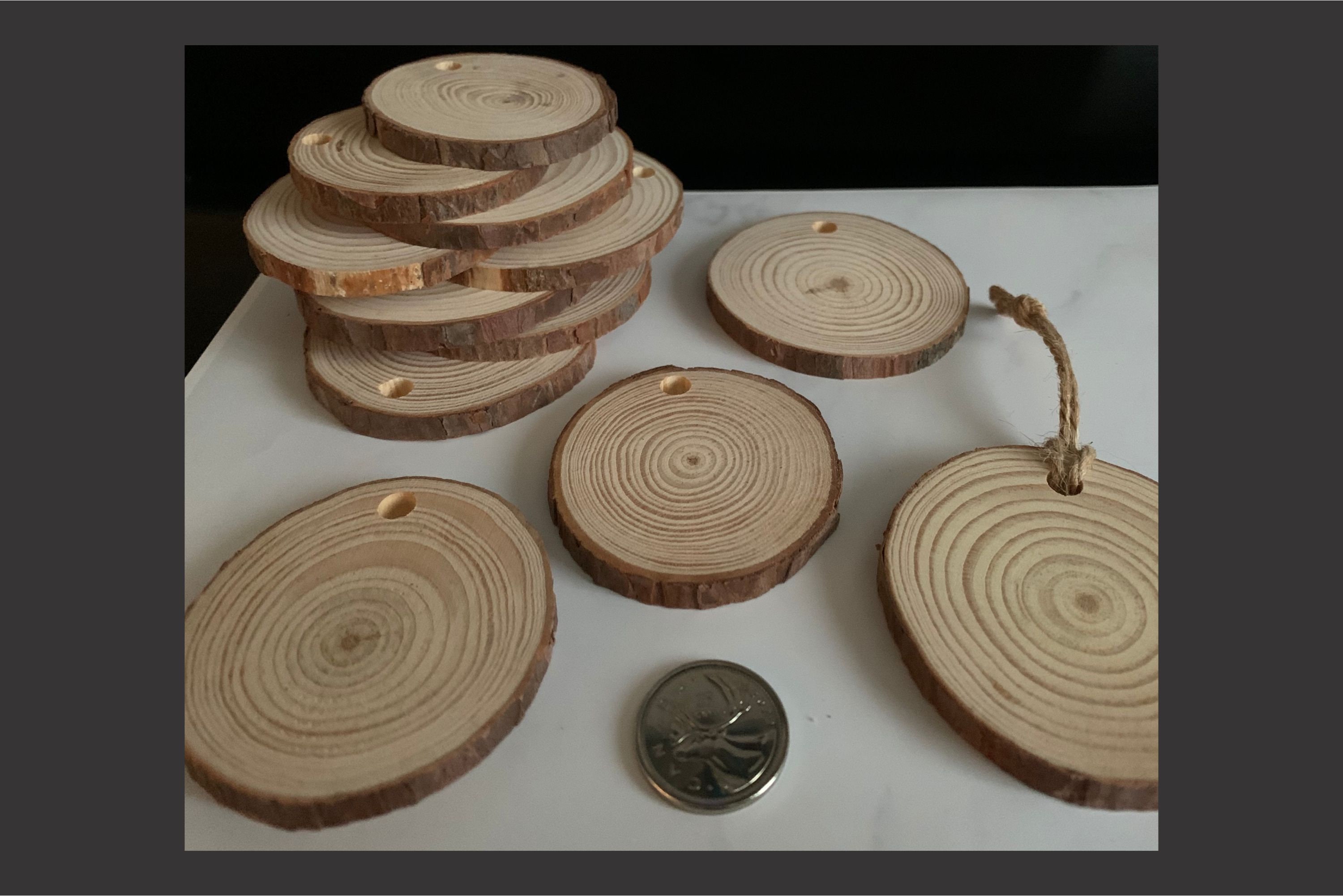 Naturally Preserved and Aged Cedar Slices, Three Sizes - FREE US Shipping